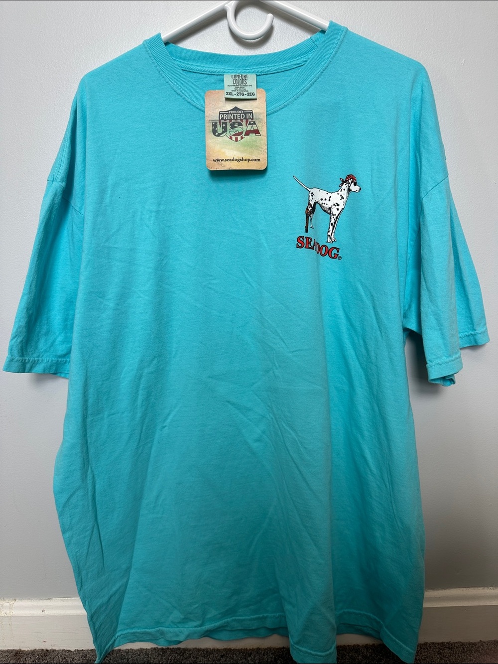 Teal Short Sleeve Graphic Tee - Men's